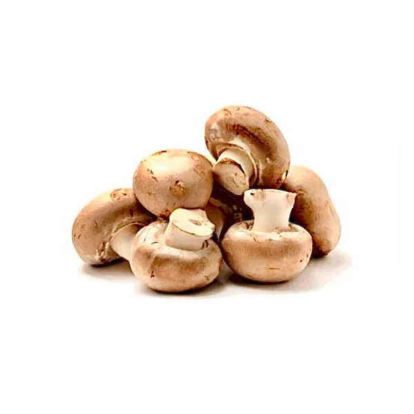 ادویه پودرقارچ