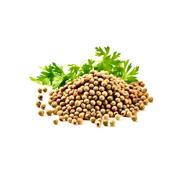 ادویه دانه گشنیز ویژه